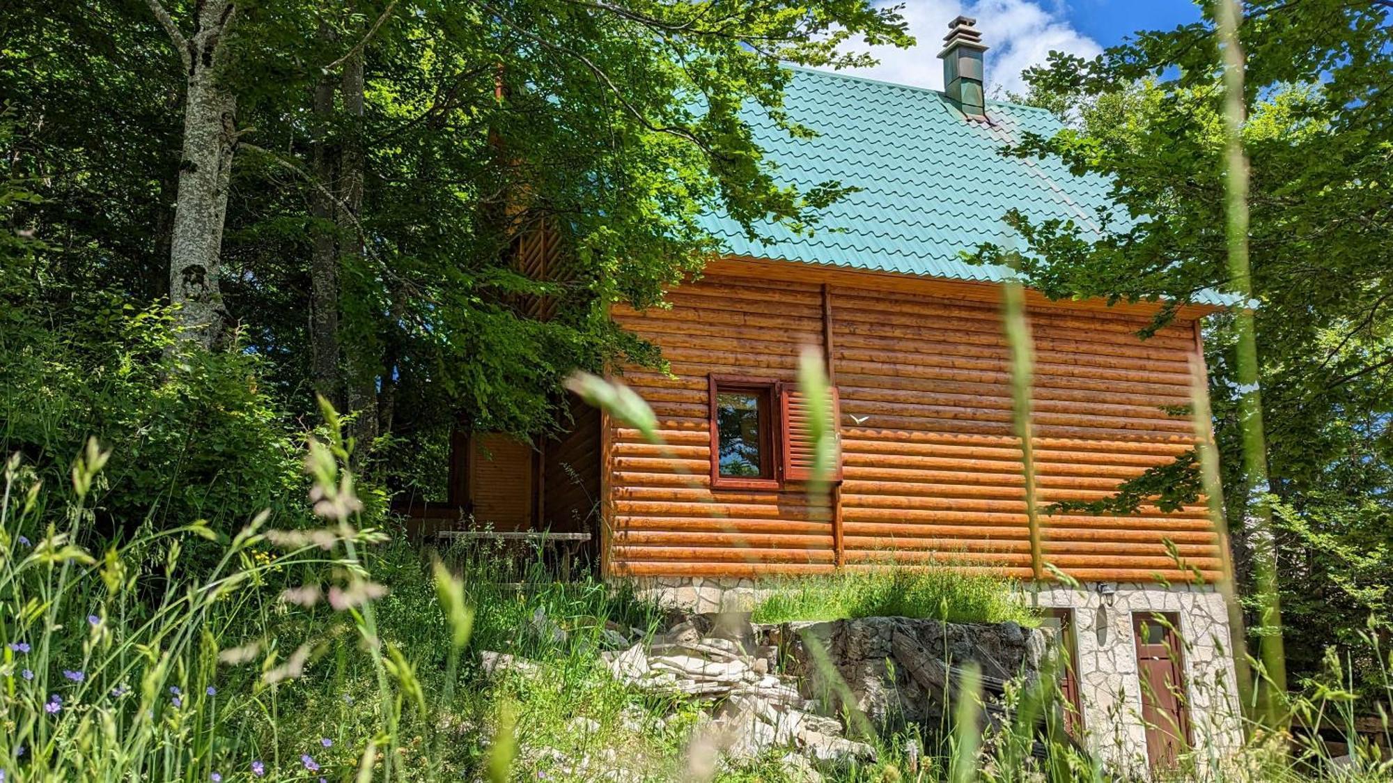 Apartments Nikcevic Zabljak Екстериор снимка